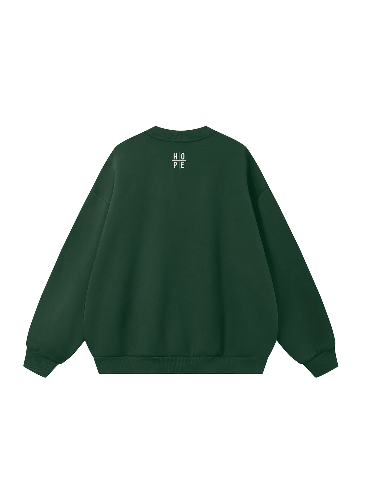 FLUENT IN PRAISE Premium Heavyweight  Sweater